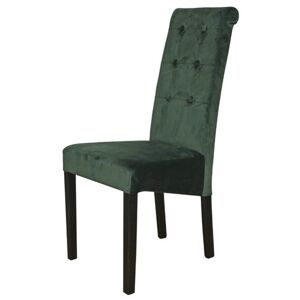 Jídelní židle FUCHSIA zelená/černá